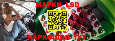 MDMA Гатчина