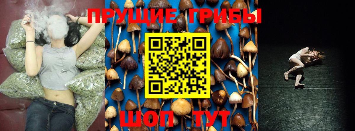 Мурманск  Галлюциногенные грибы мицелий  Вход с VPN 